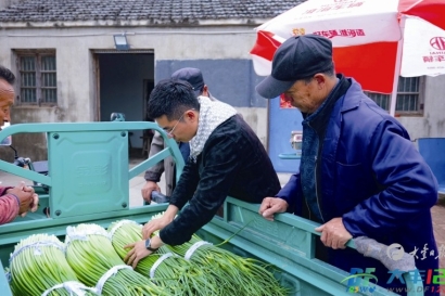丰华街道：地标蒜薹迎丰收 畅通销路助振兴